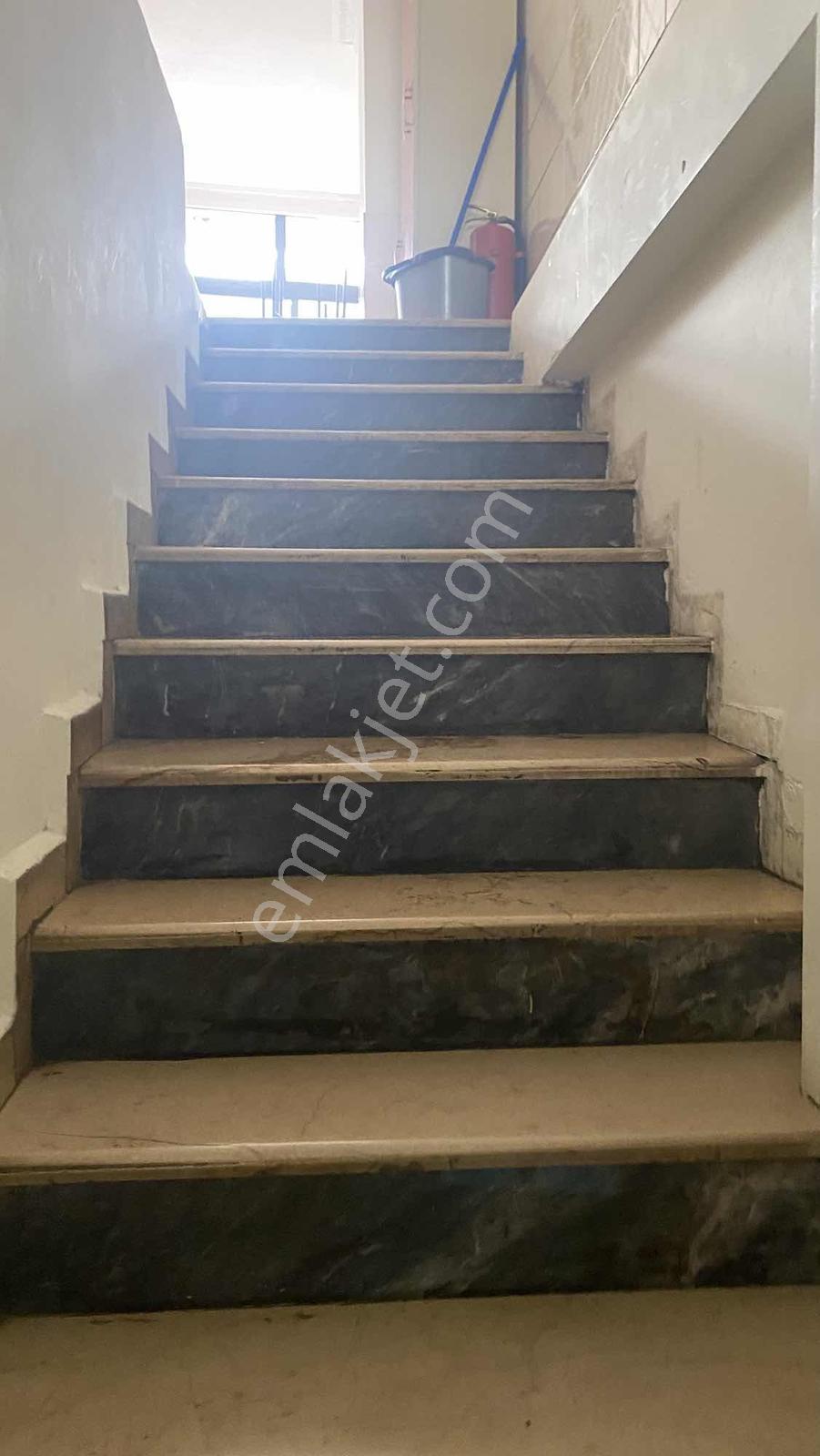 Altın Emlak Borçka Çift Cephe 224m2 Kiracılı Satılık Dükkan - Görsel 18
