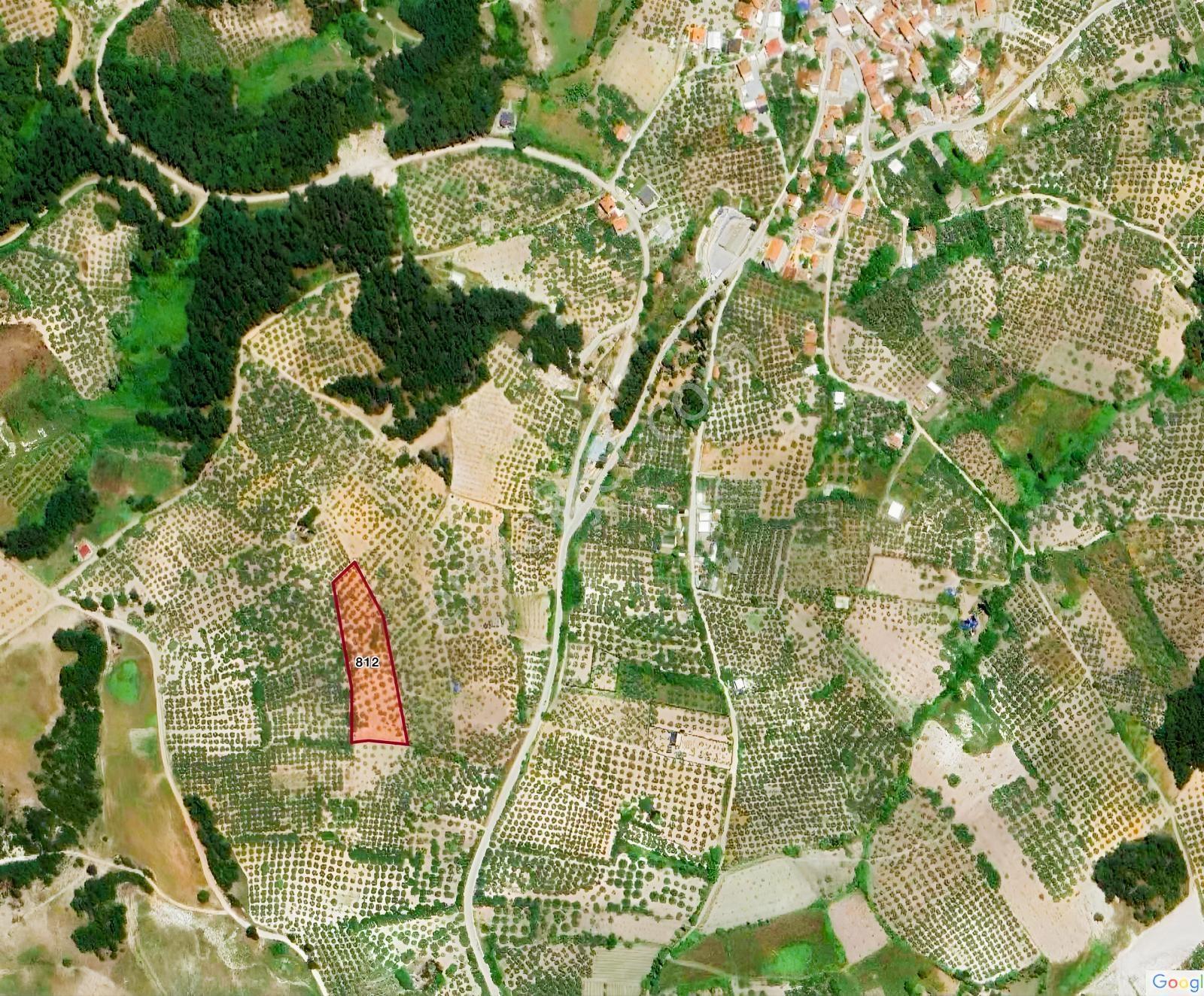 Bm Real Estate Mudanya Yörükali Satılık 6400 M2 Bağ Ve Zeytinlik - Görsel 2