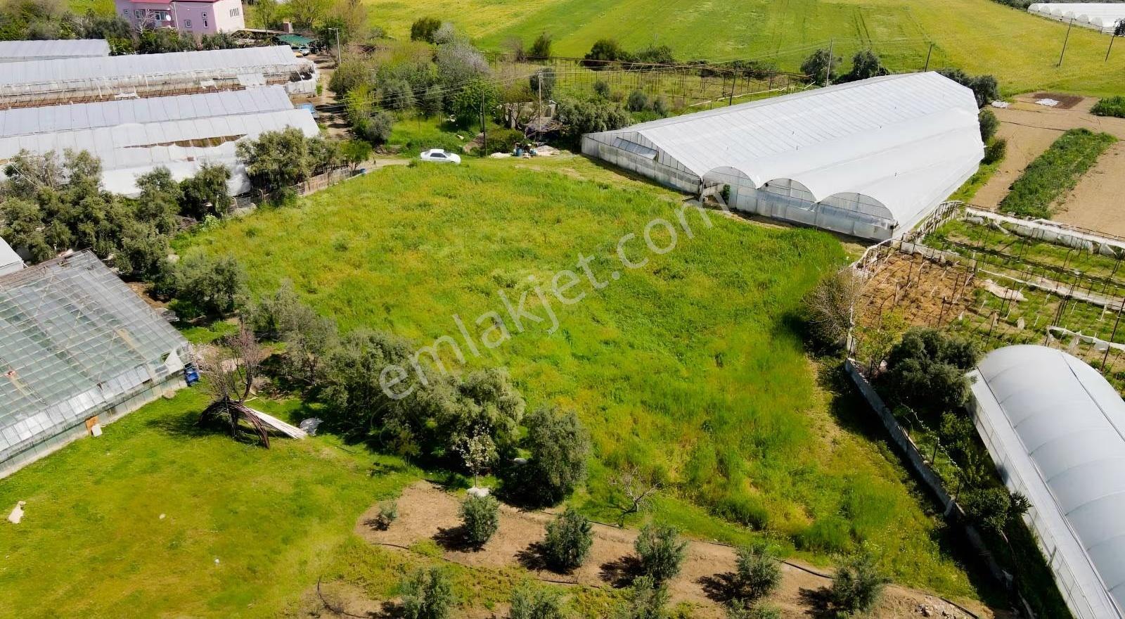 Hurmadibi Mevkii 4 Tapu Toplam 1800 Mt2 - Görsel 13