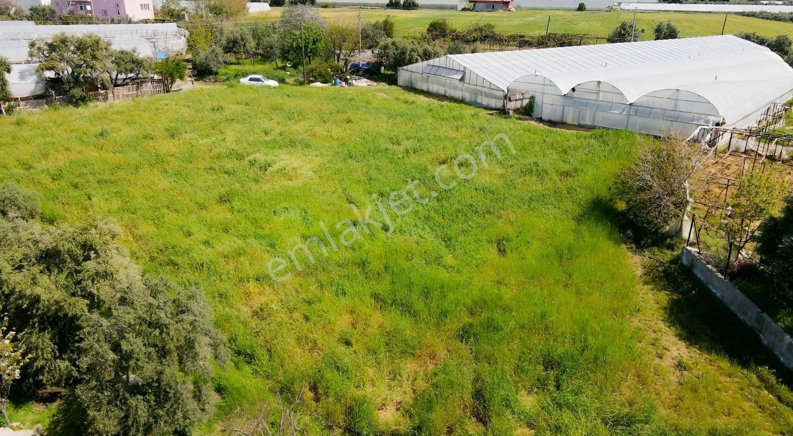 Hurmadibi Mevkii 4 Tapu Toplam 1800 Mt2 - Görsel 5