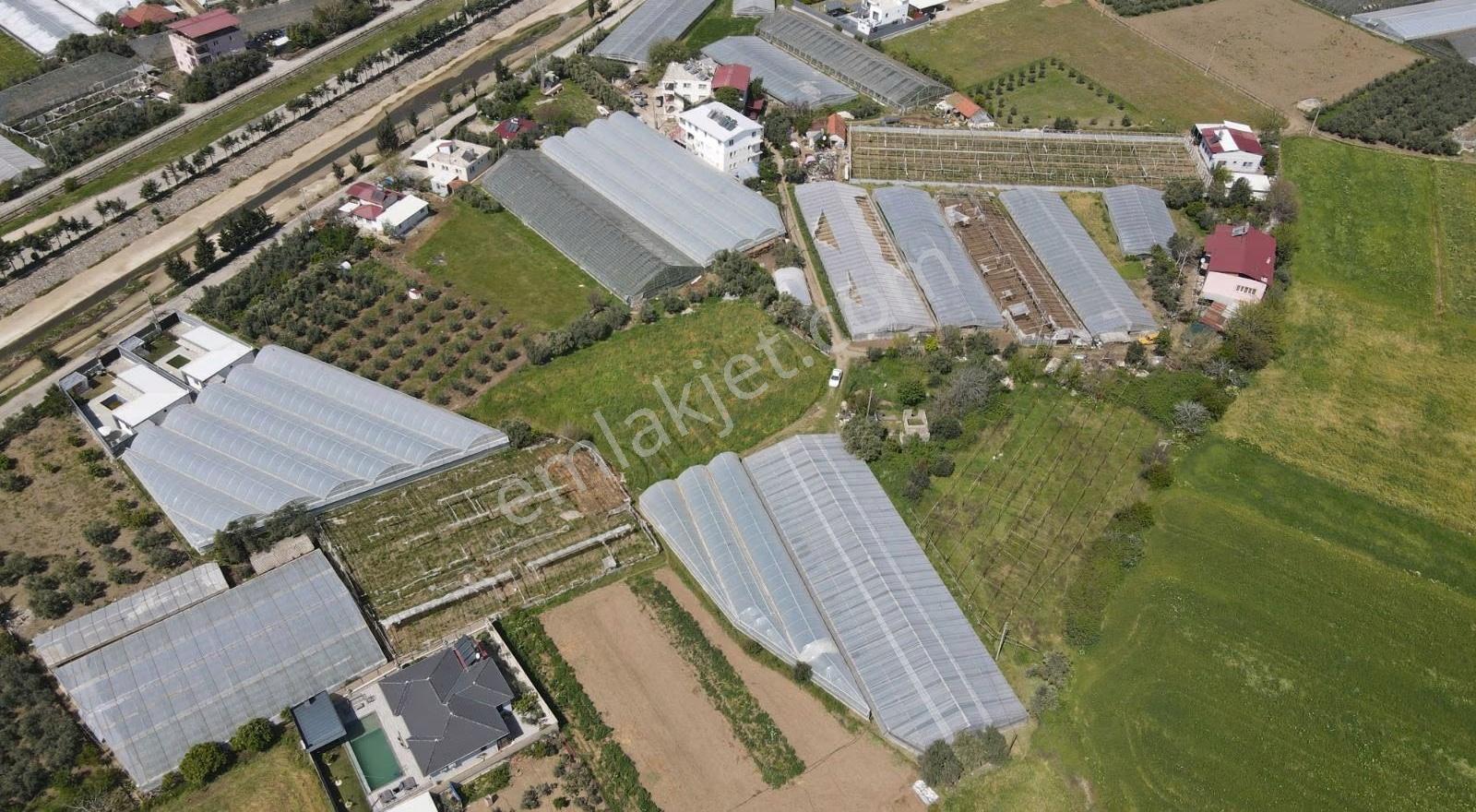 Hurmadibi Mevkii 4 Tapu Toplam 1800 Mt2 - Görsel 14