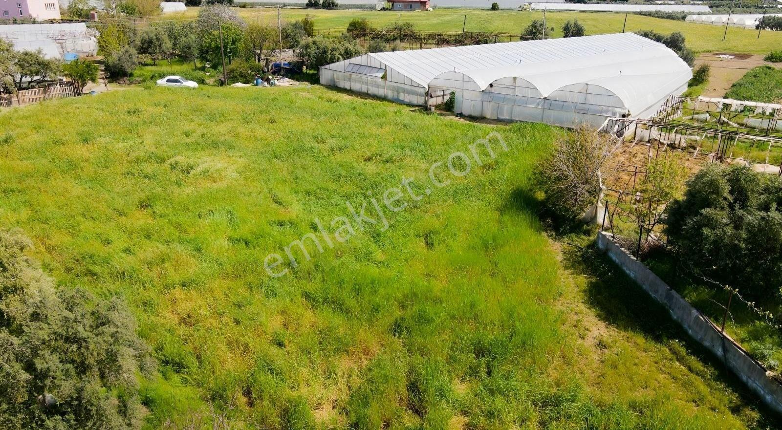 Hurmadibi Mevkii 4 Tapu Toplam 1800 Mt2 - Görsel 20
