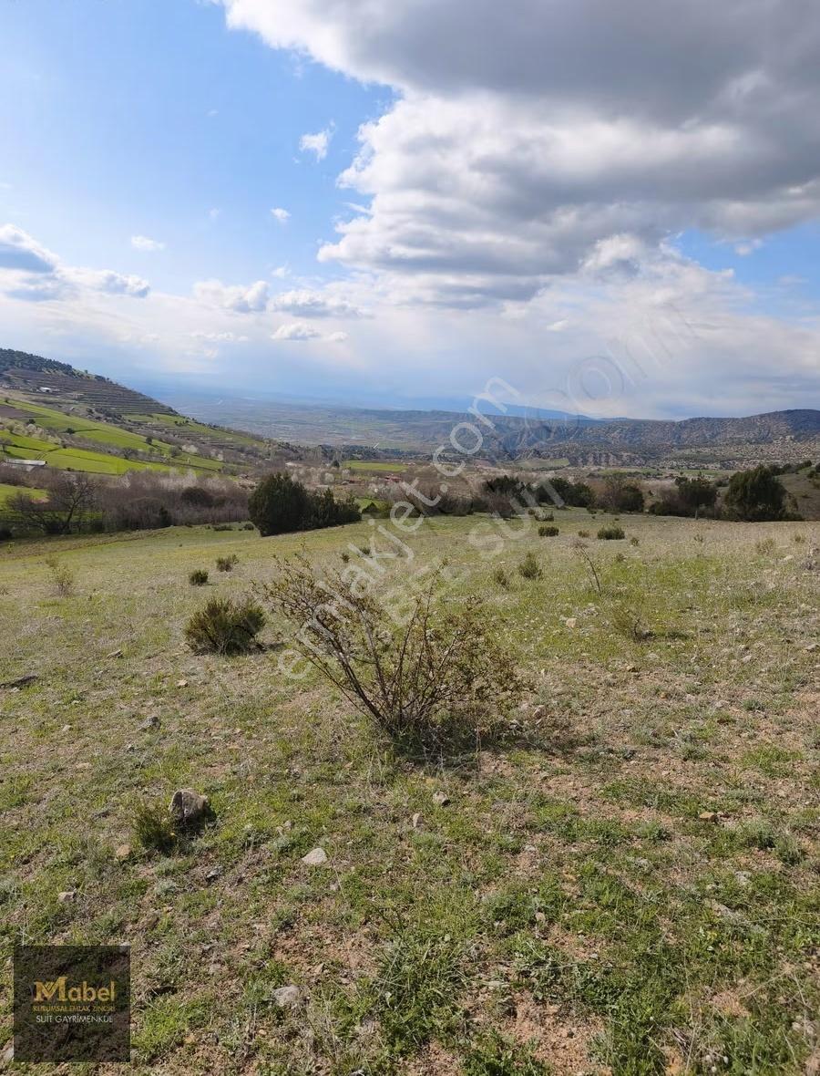 Mabelden Yatırımlık Amasya Suluova Merzşfon Manzaralı Tarla - Görsel 8