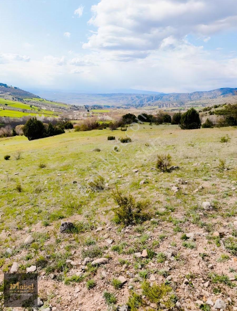 Mabelden Yatırımlık Amasya Suluova Merzşfon Manzaralı Tarla - Görsel 3