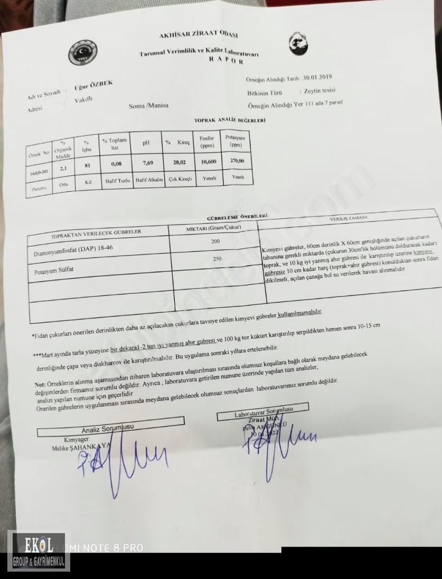 Manisa Soma Vakıfli Mahallesi Satılık Zeytinlik Tarla - Görsel 5
