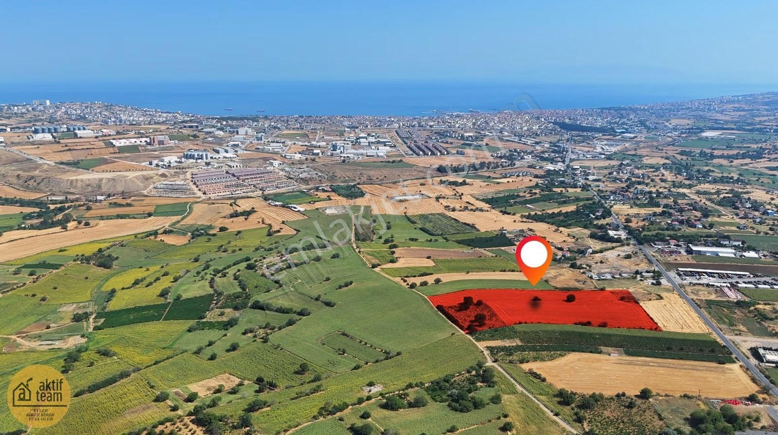 Tekirdağ Karadeniz Mahallesi'nde Yatırımlık Arsa Fırsatı - Görsel 4