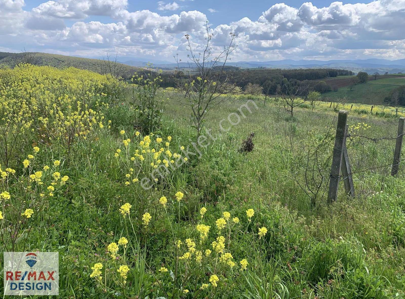 Kocaeli İzmit Yenice Mahallesi 1227 M2 Satılık Tarla - Görsel 13