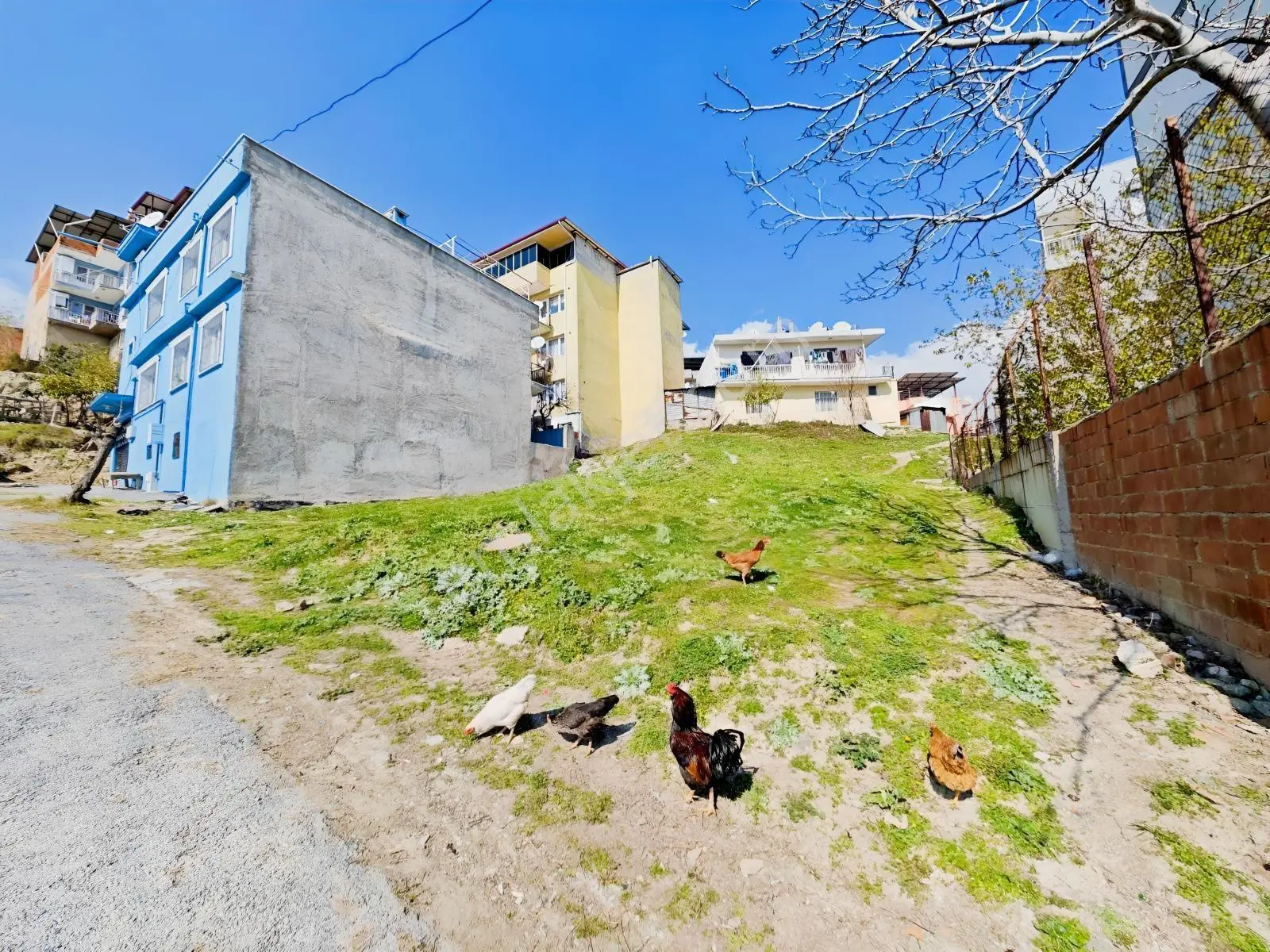 Söke Çeltikçi Mahallesi'nde 3 Kat İmarlı Satılık Arsa