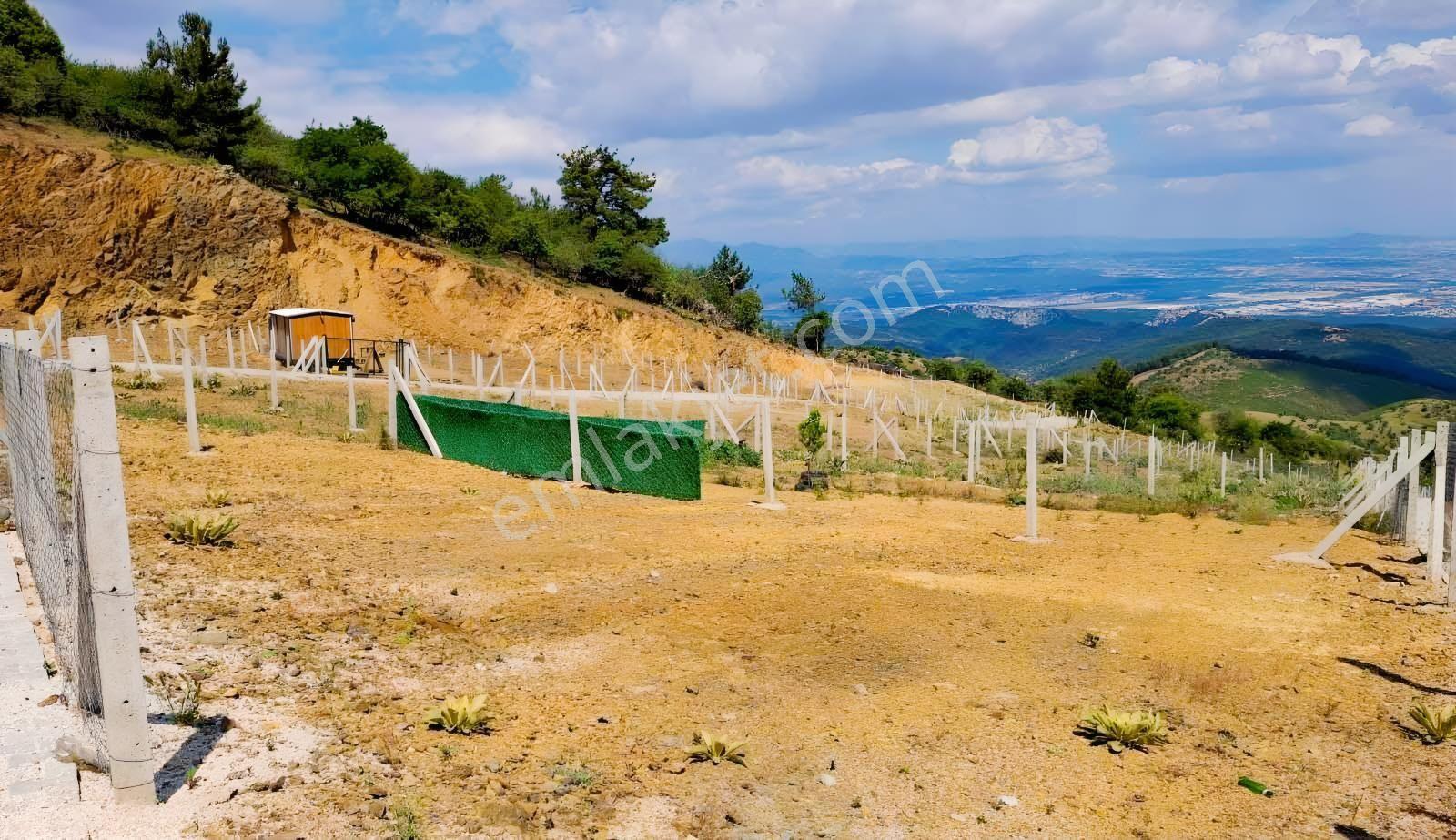 Novuss Gayrimenkul\\tırazlı'da 250 M2 Resmi Tapulu Satılık Arsa - Görsel 12