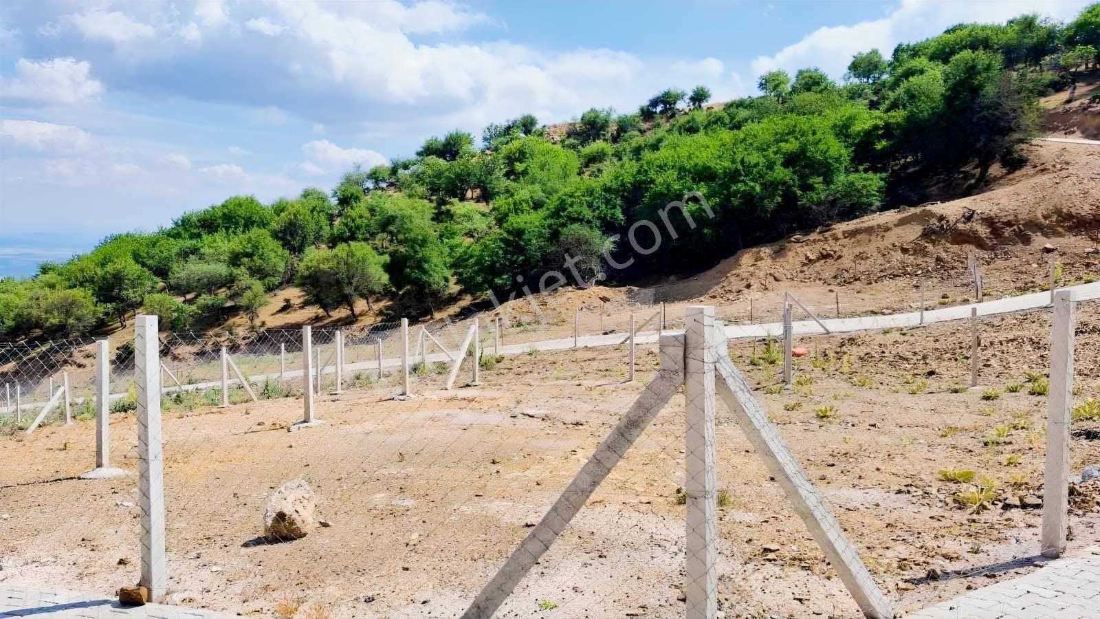 Novuss Gayrimenkul\\tırazlı'da 250 M2 Resmi Tapulu Satılık Arsa - Görsel 9