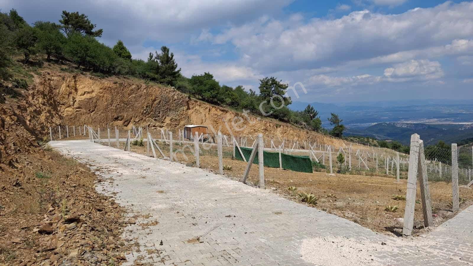 Novuss Gayrimenkul\\tırazlı'da 250 M2 Resmi Tapulu Satılık Arsa - Görsel 11