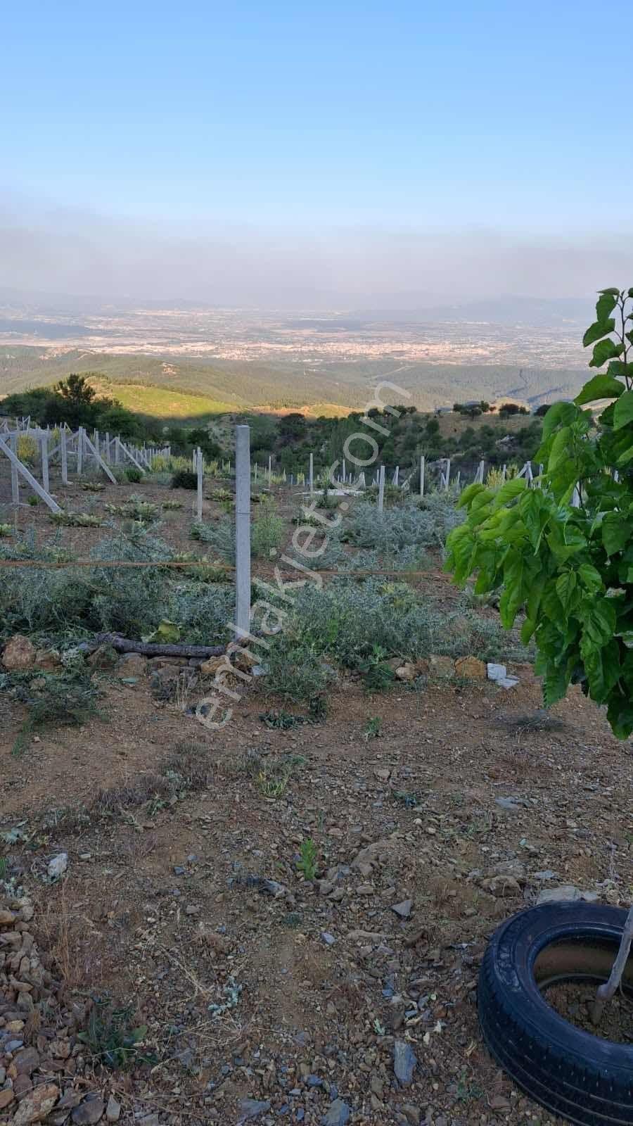 Novuss Gayrimenkul\\tırazlı'da 250 M2 Resmi Tapulu Satılık Arsa - Görsel 18
