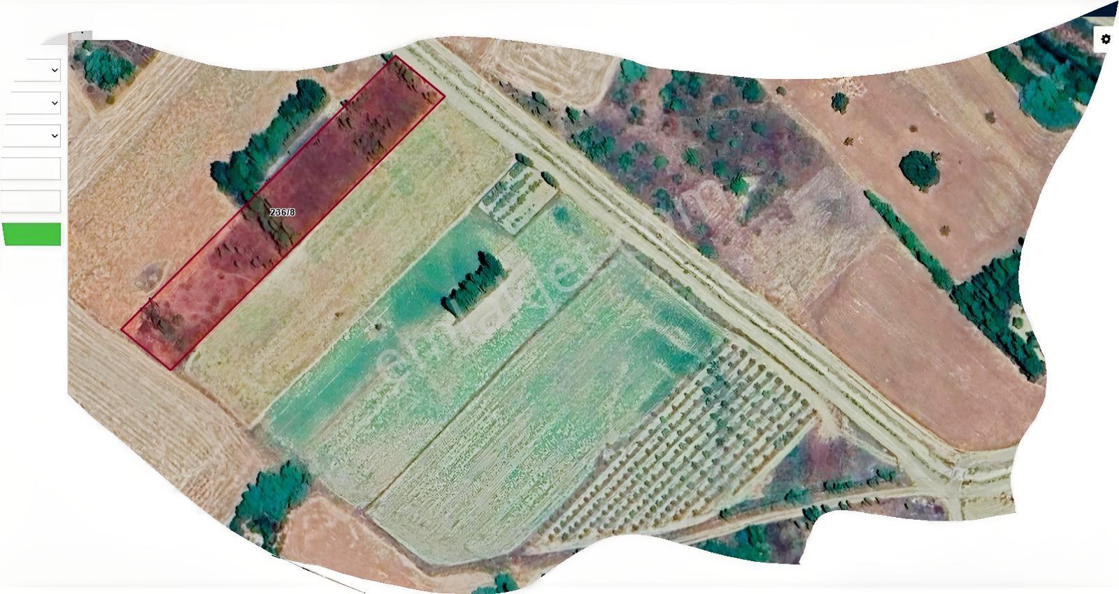 Özpınar,dan Kavak Eski Elma Bahçesi,yolu,suyu Var..! 3040 M2