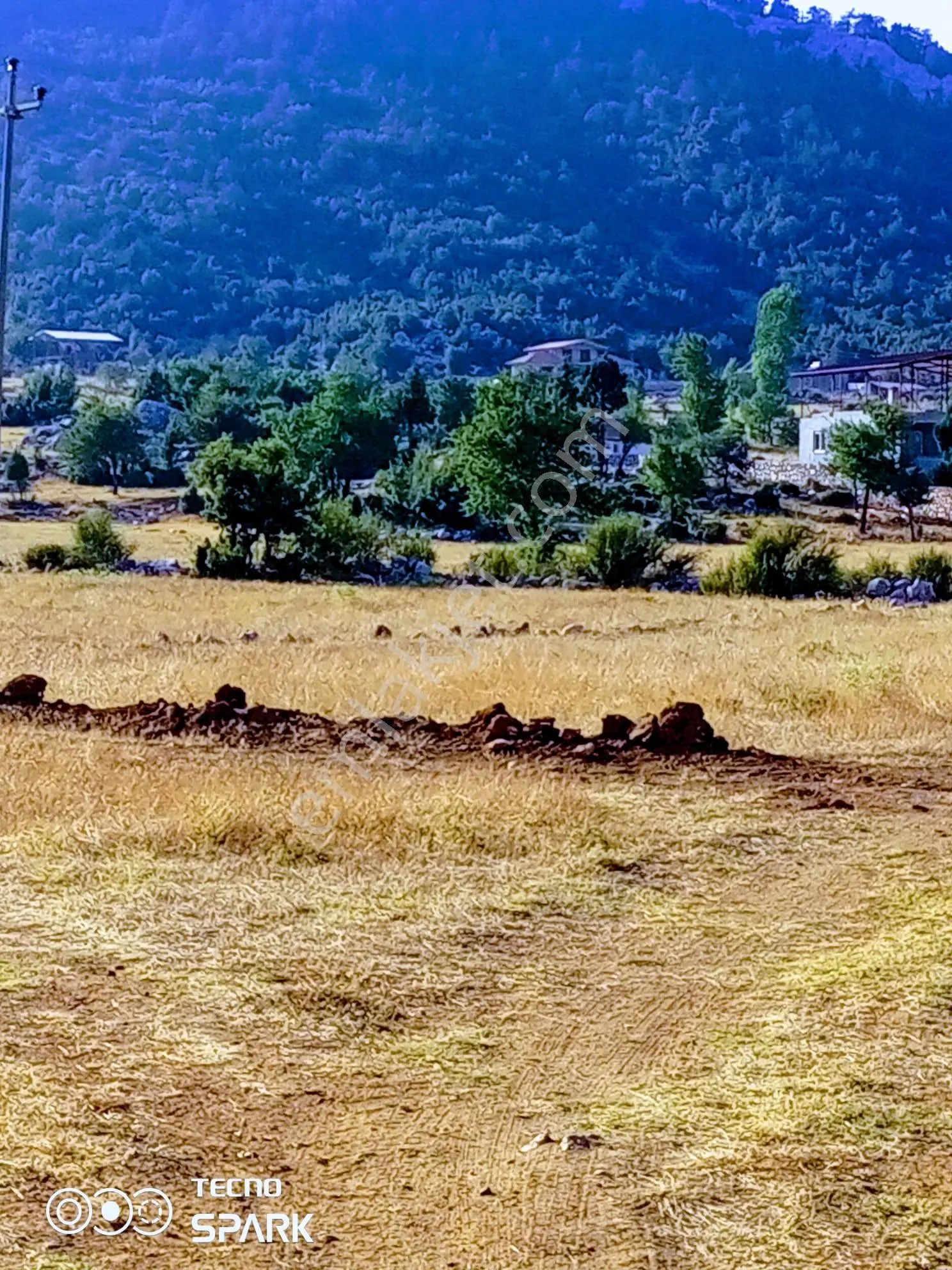 Stop'tan Yayla Ceylanda Kadastrol Yola Yakın Tarla