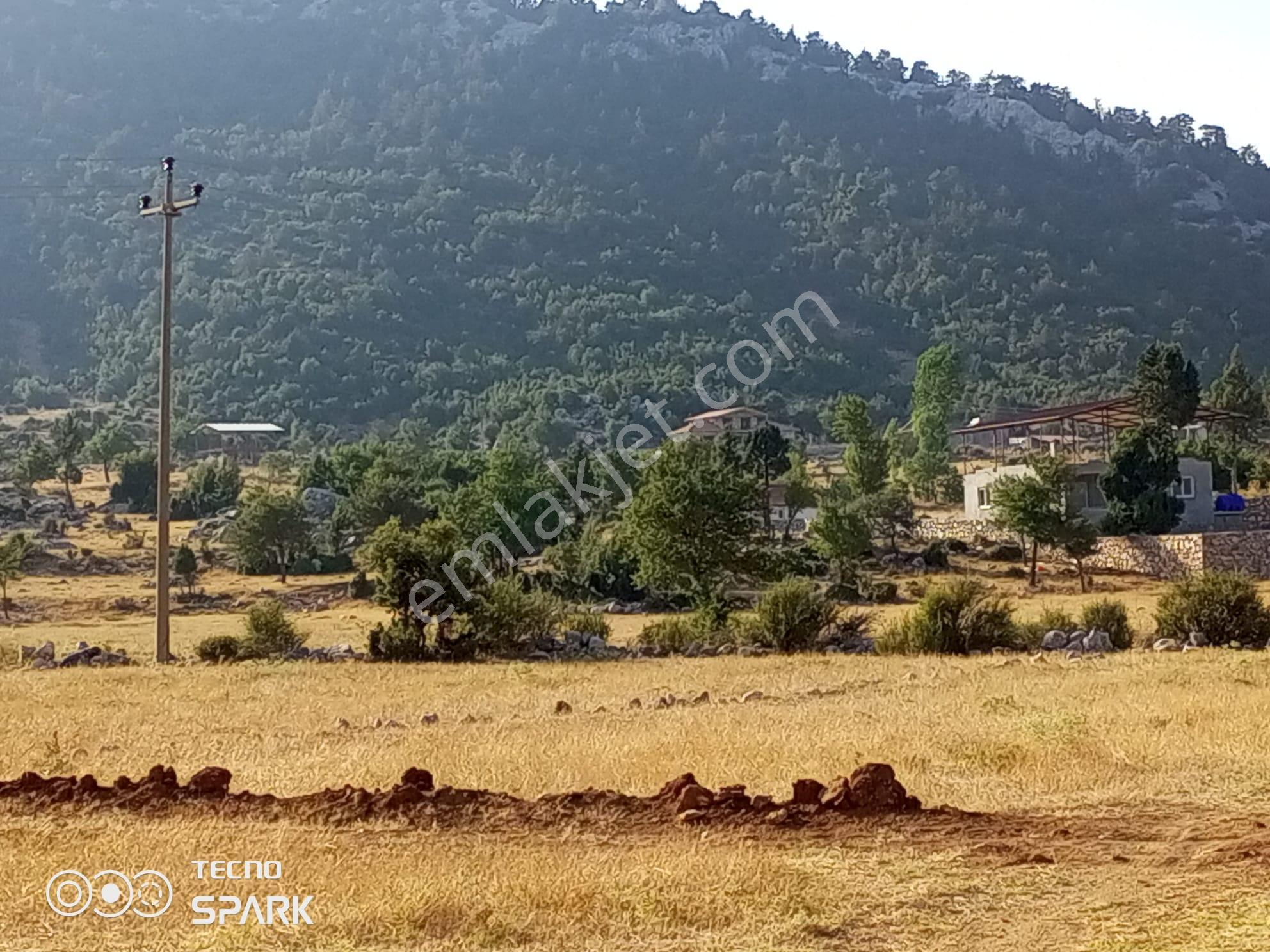 Stop'tan Yayla Ceylanda Kadastrol Yola Yakın Tarla - Görsel 4