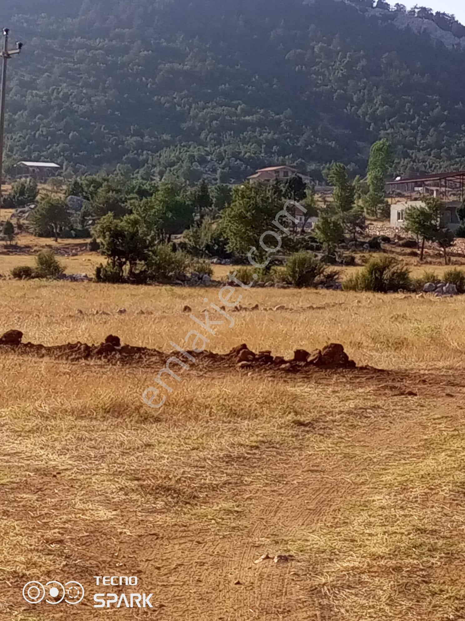 Stop'tan Yayla Ceylanda Kadastrol Yola Yakın Tarla - Görsel 3