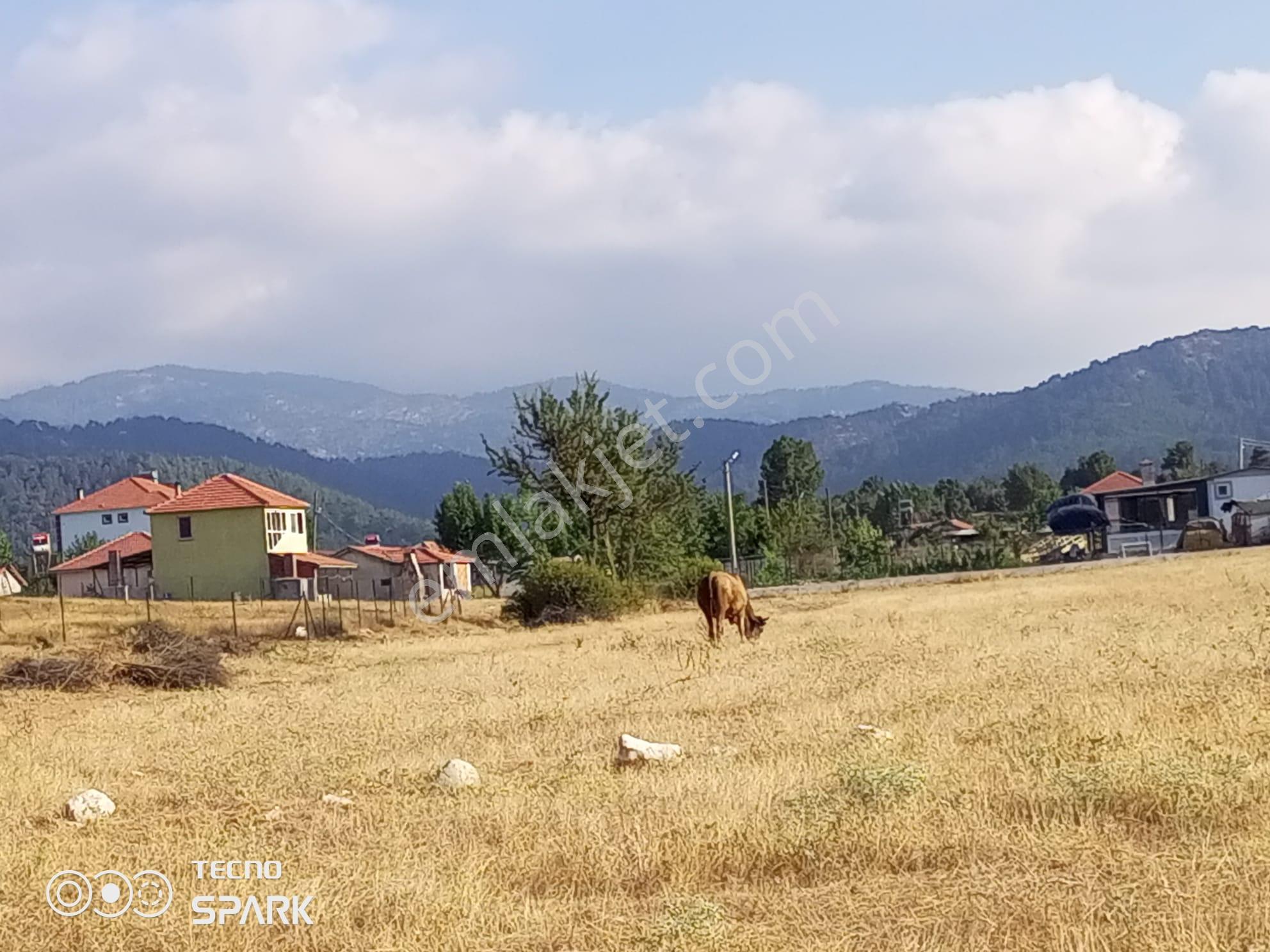 Stop'tan Yayla Ceylanda Kadastrol Yola Yakın Tarla - Görsel 2