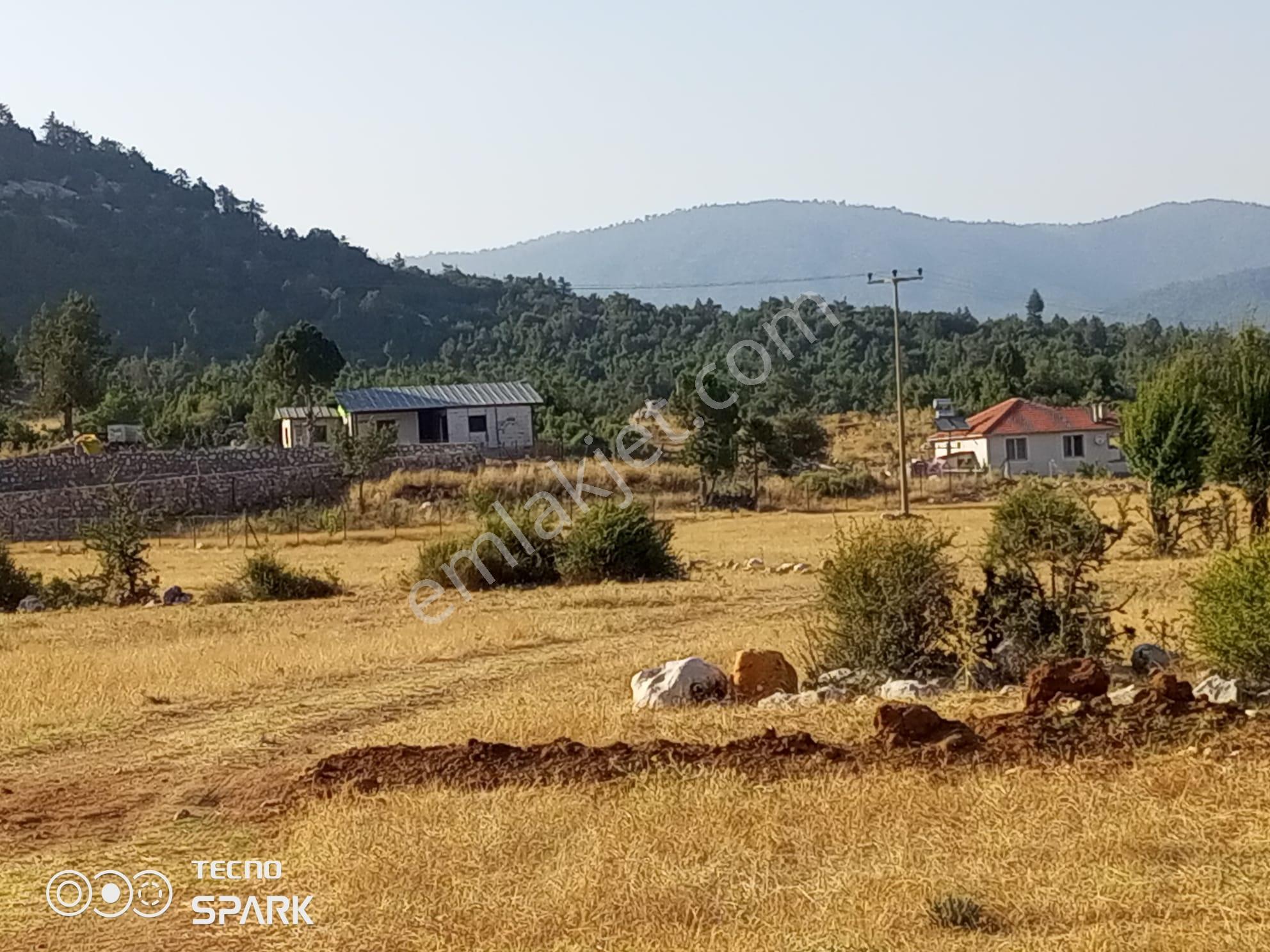Stop'tan Yayla Ceylanda Kadastrol Yola Yakın Tarla - Görsel 5