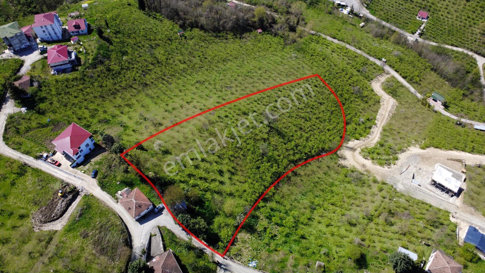 Trabzon Kireçhane Mahallesinde Satılık 4355 M2 Arazi - Görsel 6