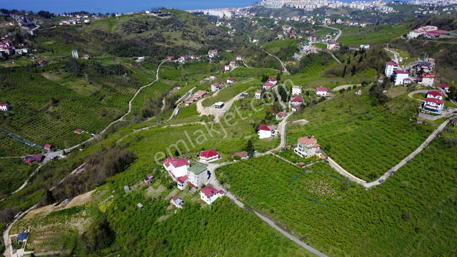 Trabzon Kireçhane Mahallesinde Satılık 4355 M2 Arazi - Görsel 5