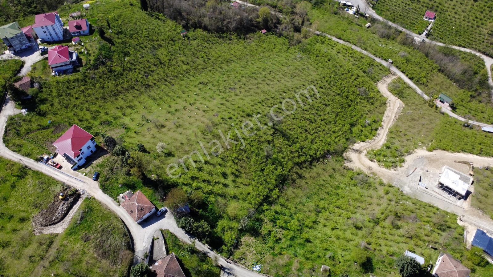 Trabzon Kireçhane Mahallesinde Satılık 4355 M2 Arazi - Görsel 7