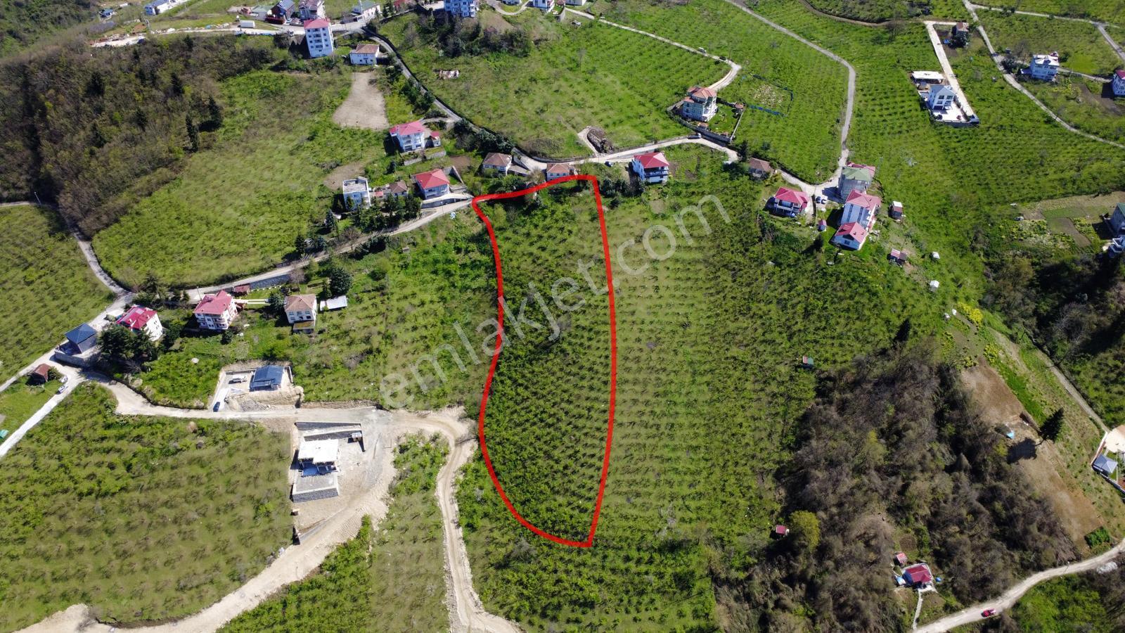 Trabzon Kireçhane Mahallesinde Satılık 4355 M2 Arazi - Görsel 8