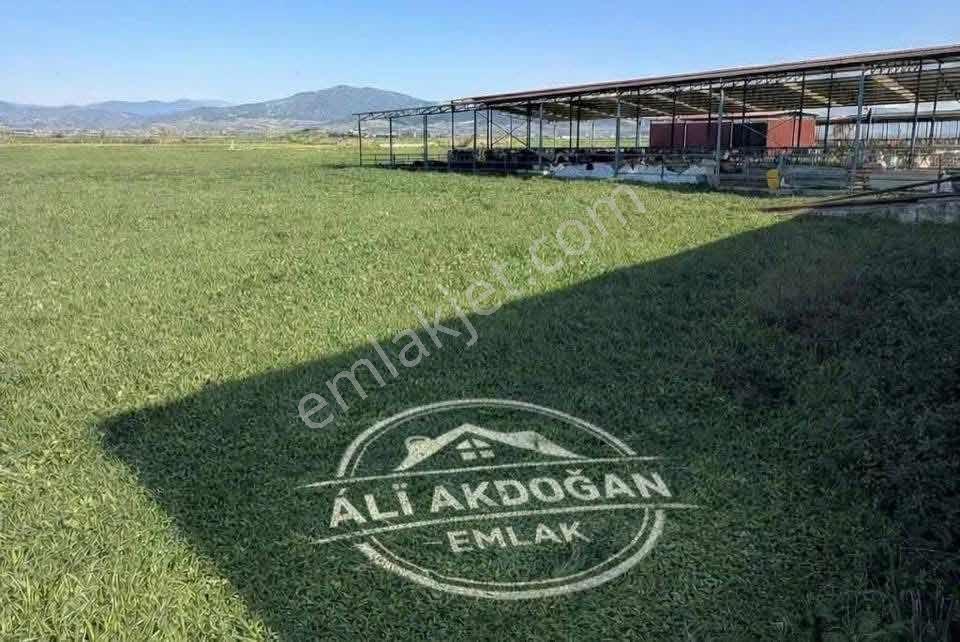 Ali Akdoğan Emlak Ofisinden Satılık Çiftlik Arazisi - Görsel 9