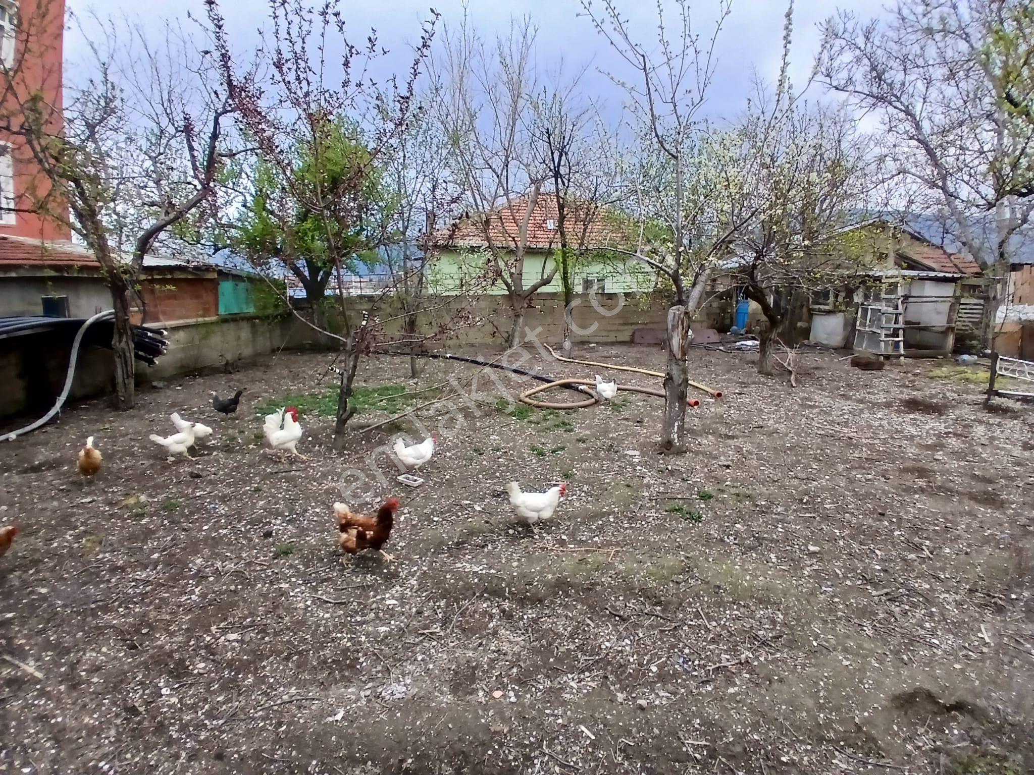 Akçay Emlak'tan Akşehir Tipi Mahallesinde Komple Satılık Bina Ve Arsası - Görsel 11