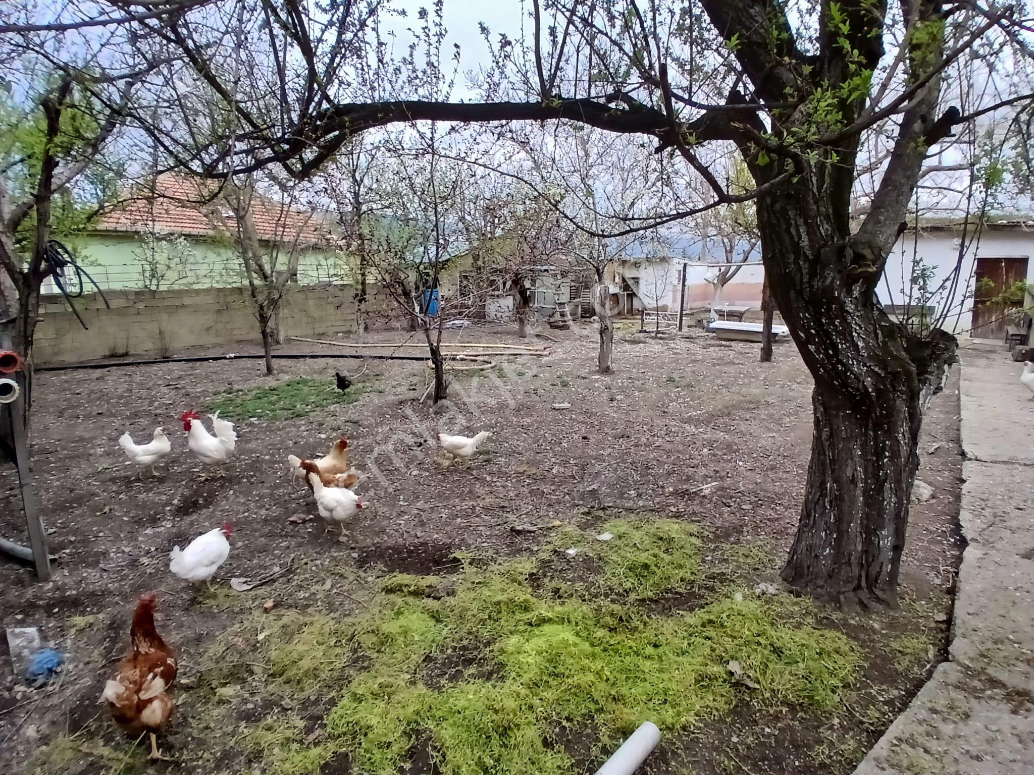 Akçay Emlak'tan Akşehir Tipi Mahallesinde Komple Satılık Bina Ve Arsası - Görsel 12