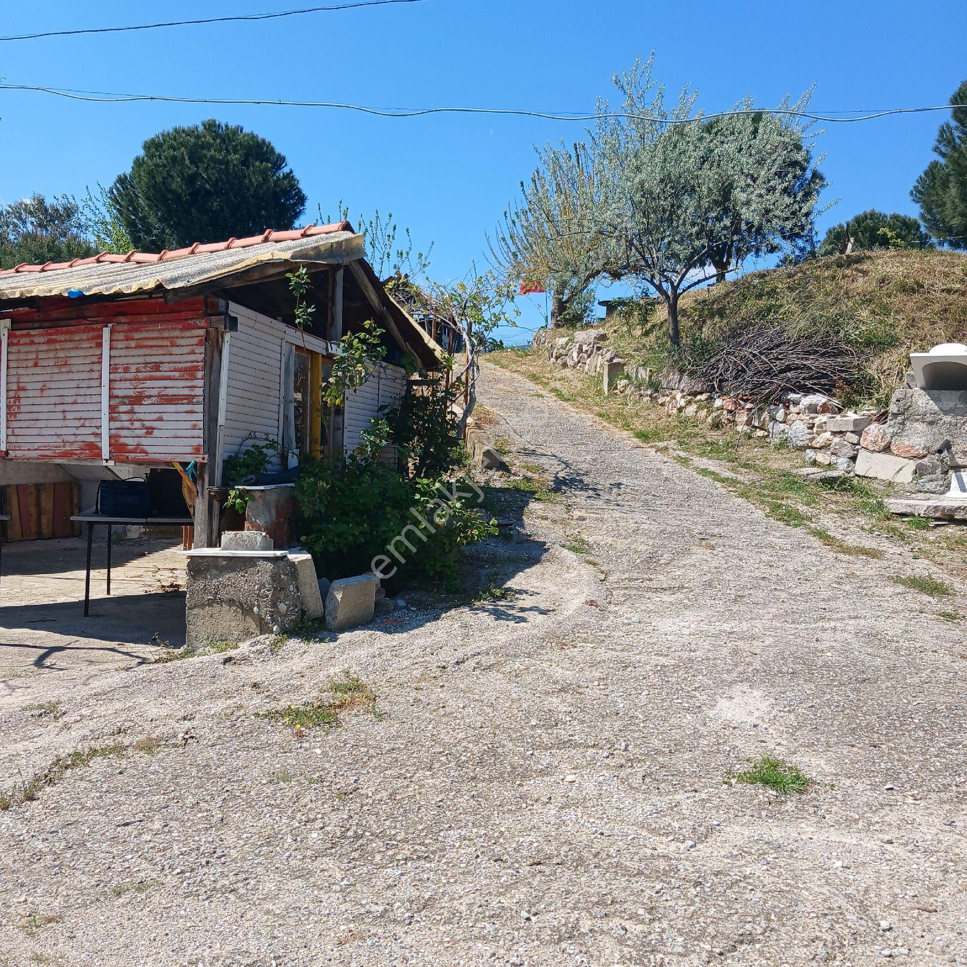 İzmir Kemalpaşa Çambel - Görsel 18