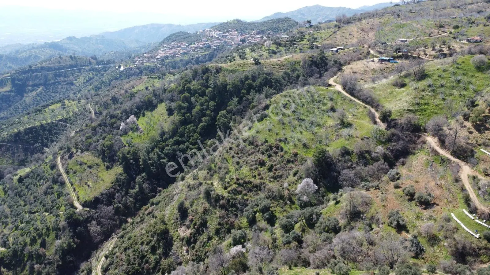 Aydın Efelerde Satılık 17488 M² İncir Ve Zeytin Bahçesi - Görsel 12