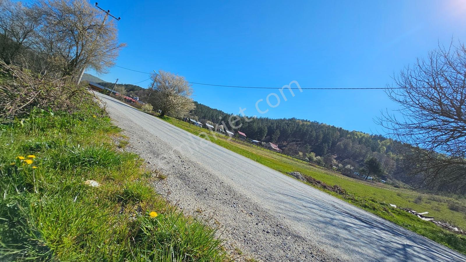 İznik Candarlı'da /cirit Kamping Karşısı 2,086m² 3 Villalık Arsa - Görsel 25