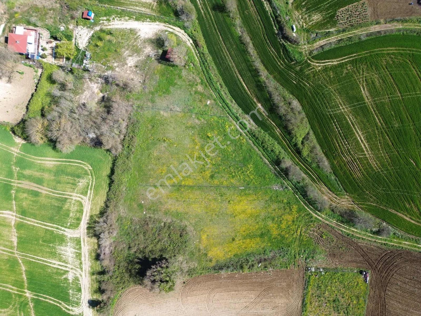 Çatalca Dağyenicede 3512 M2 Satılık Arsa