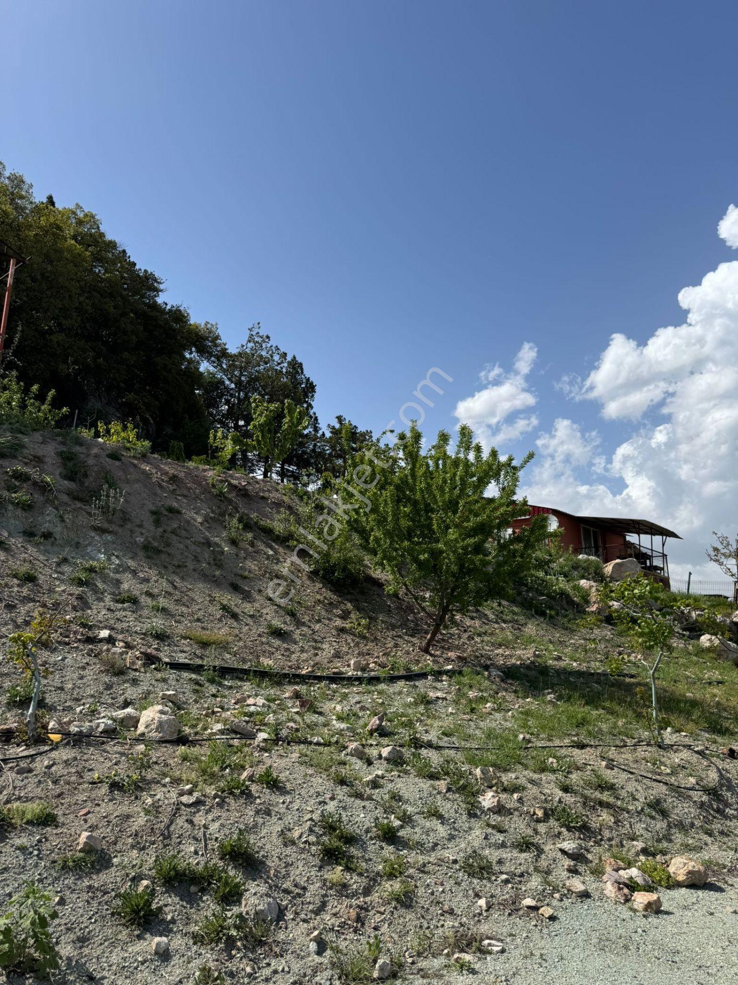 Bm"den Gözde 17 Dönüm Arazi: Orman Sınırı Bungalov+prefabrik Ev - Görsel 18