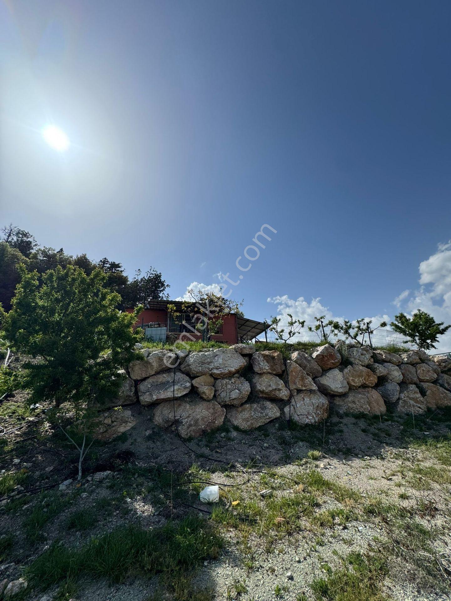 Bm"den Gözde 17 Dönüm Arazi: Orman Sınırı Bungalov+prefabrik Ev - Görsel 34
