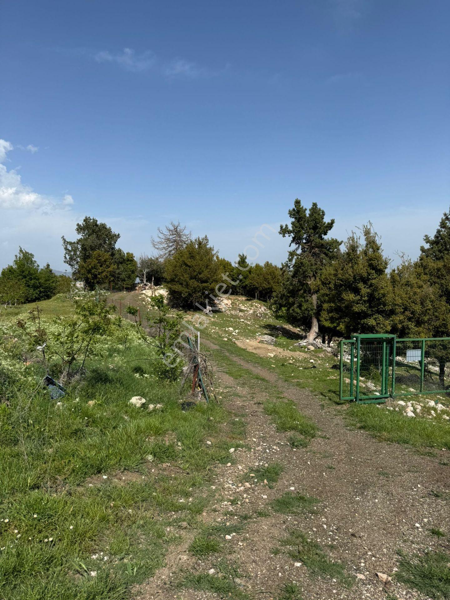 Bm"den Gözde 17 Dönüm Arazi: Orman Sınırı Bungalov+prefabrik Ev - Görsel 16