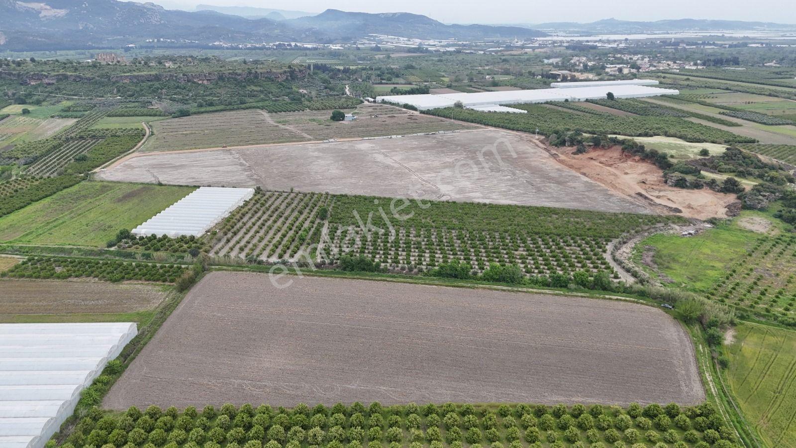 Serik Karagöl'de 19.636 M2 Yatırımlık Seraya Uygun Arsa - Görsel 9