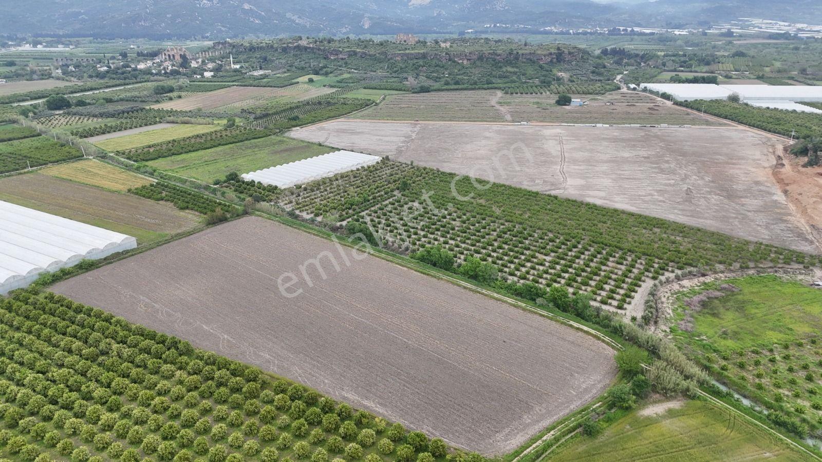 Serik Karagöl'de 19.636 M2 Yatırımlık Seraya Uygun Arsa - Görsel 5