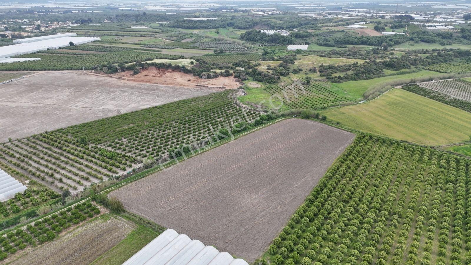 Serik Karagöl'de 19.636 M2 Yatırımlık Seraya Uygun Arsa - Görsel 4