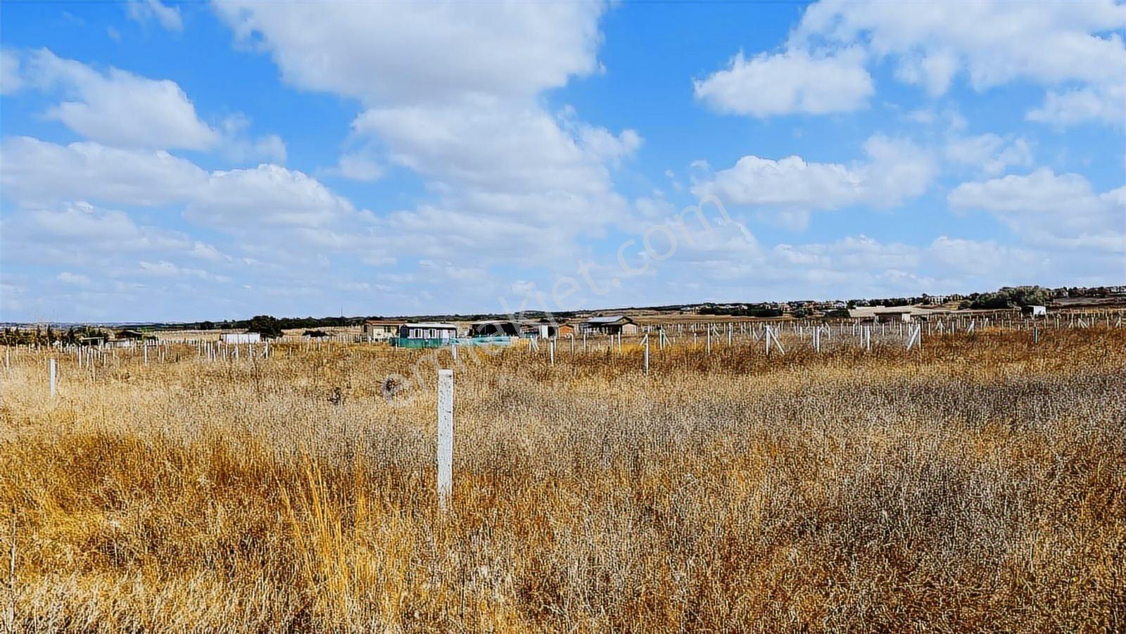 *silivri Çanta-balaban'da Satılık Gölet Manzaralı 250 M² *arsa* - Görsel 3