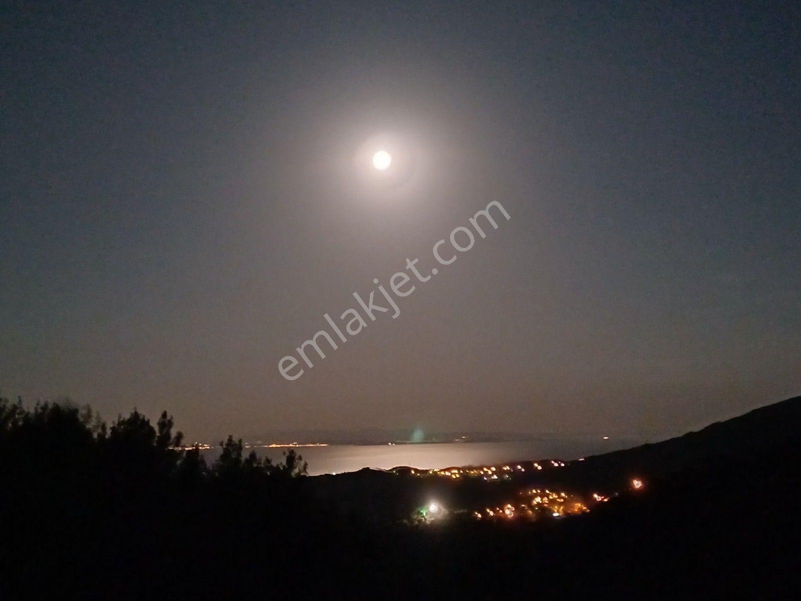 Mera Emlaktan Kızılkeçeli Köyü Müstakil Tapulu 6.197m2 Zeytinlik - Görsel 16