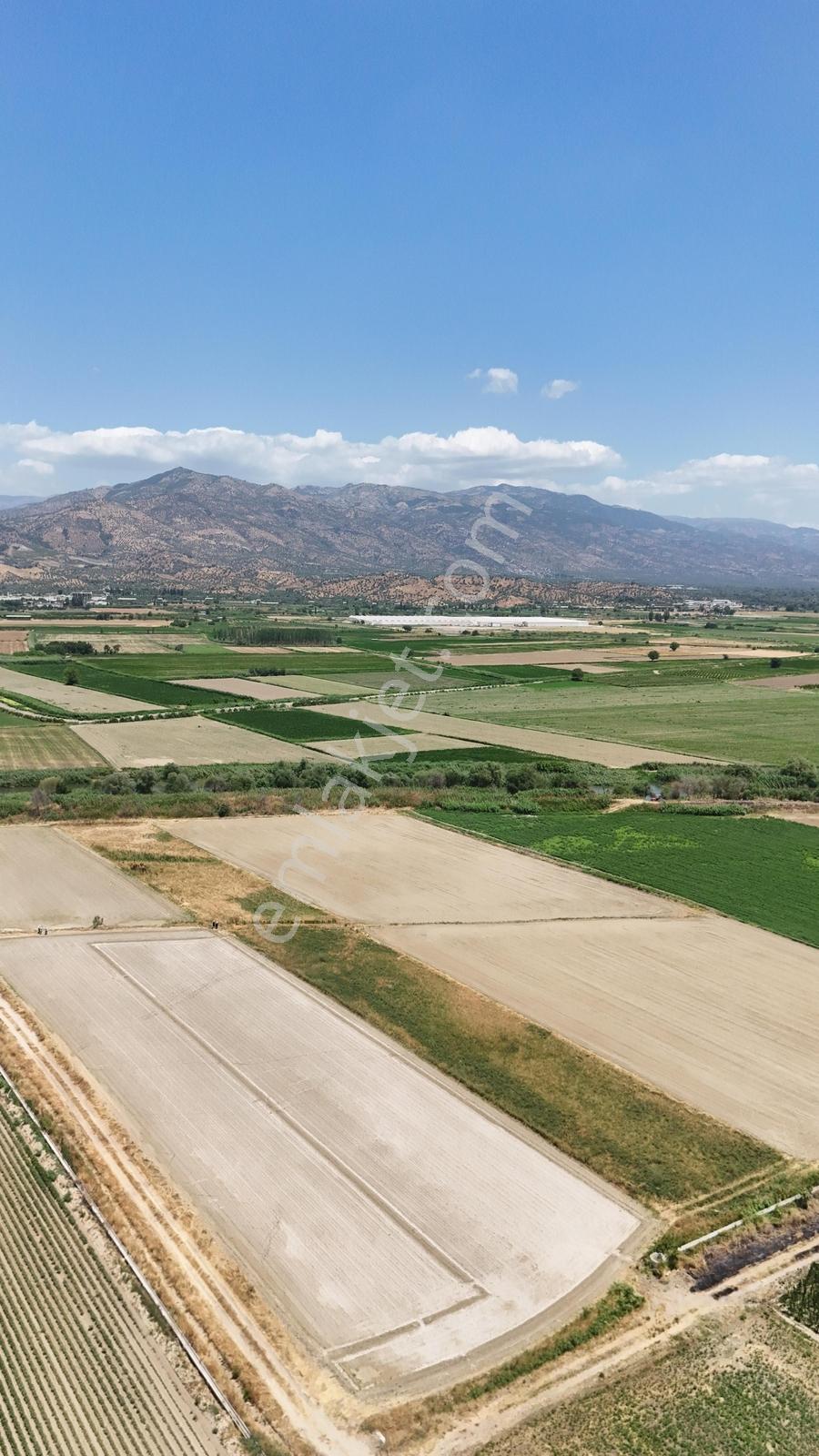 Procity'den Efeler Dalama Kırıklar'da 4.855 M2 Satılık Tarla - Görsel 5