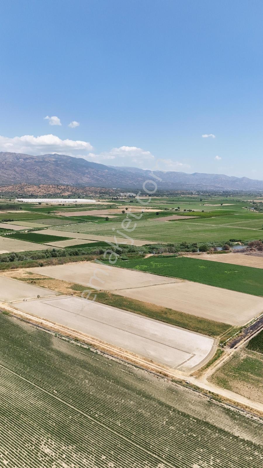 Procity'den Efeler Dalama Kırıklar'da 4.855 M2 Satılık Tarla - Görsel 3