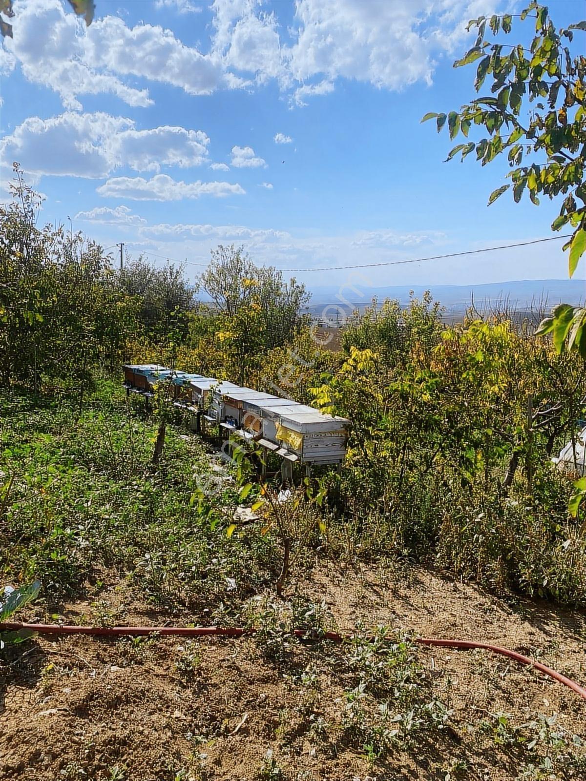 Çorum Merkez Eskiekinde Evi Güzel Bağ Evi - Görsel 8