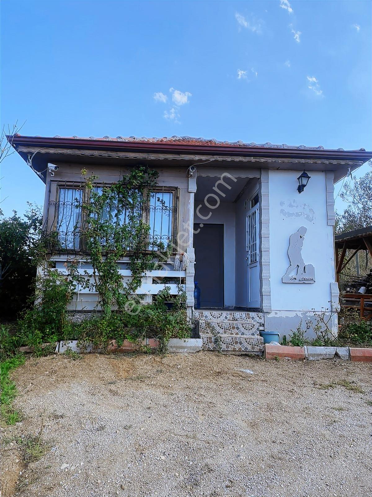 Çorum Merkez Eskiekinde Evi Güzel Bağ Evi