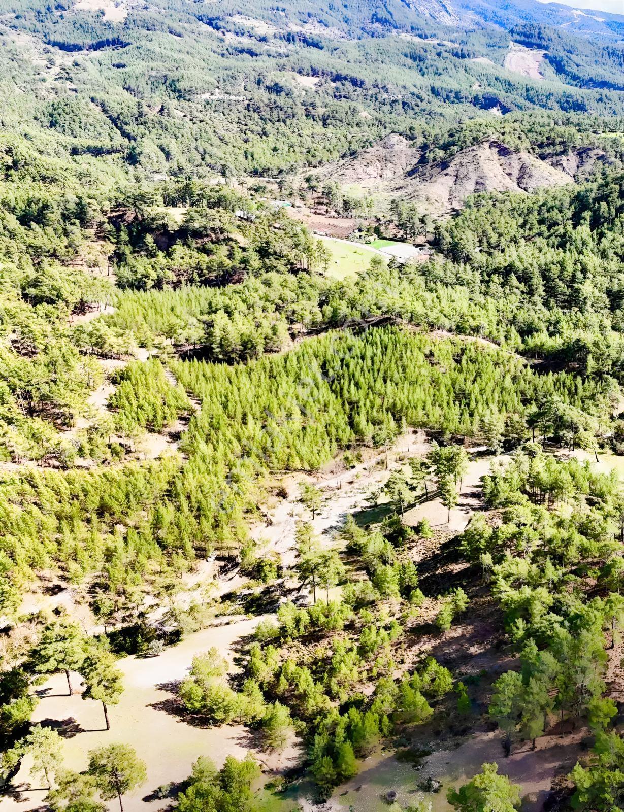Finike Ernezde Dere Kenarı 7.900 M² Yatırımlık Satılık Tarla - Görsel 16