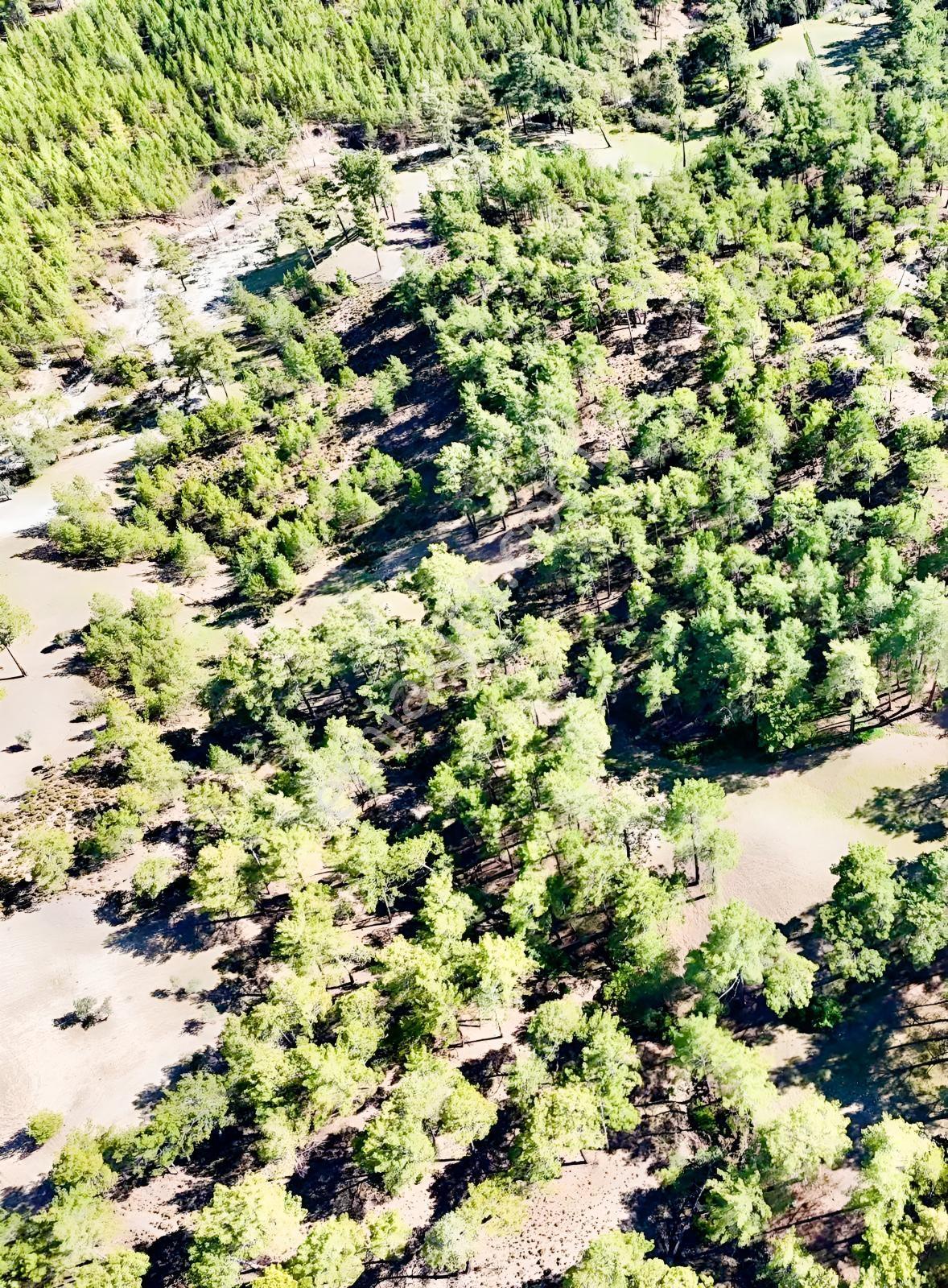 Finike Ernezde Dere Kenarı 7.900 M² Yatırımlık Satılık Tarla - Görsel 8