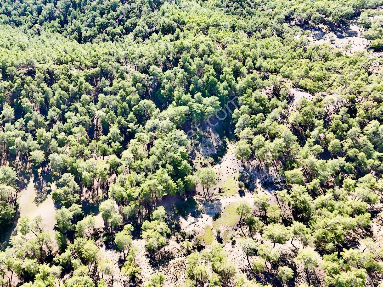 Finike Ernezde Dere Kenarı 7.900 M² Yatırımlık Satılık Tarla - Görsel 30