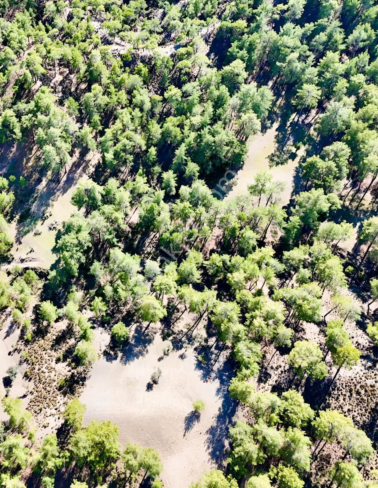 Finike Ernezde Dere Kenarı 7.900 M² Yatırımlık Satılık Tarla - Görsel 34