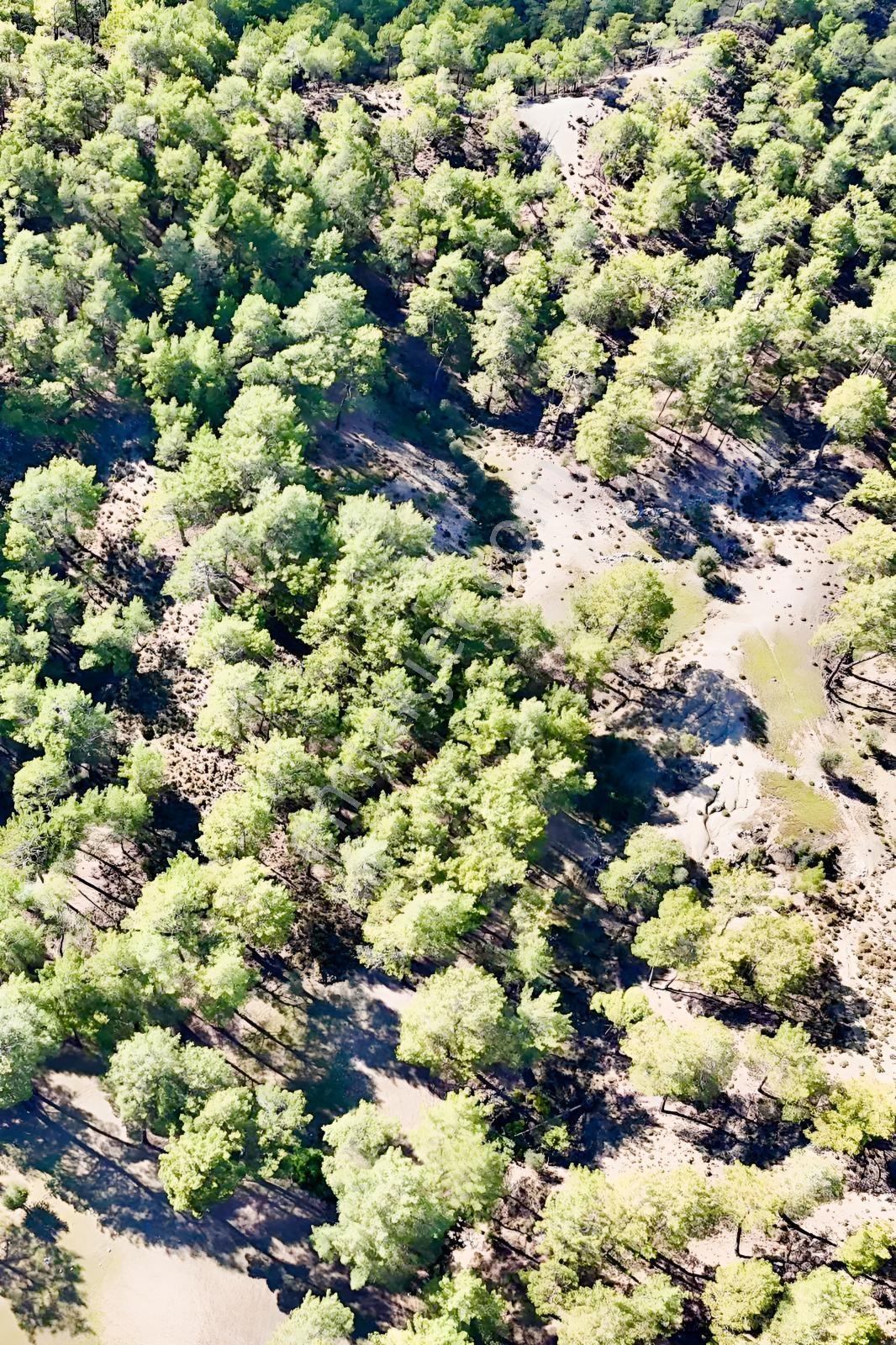 Finike Ernezde Dere Kenarı 7.900 M² Yatırımlık Satılık Tarla - Görsel 24